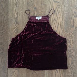 Wilfred Burgundy Velvet Velour Top